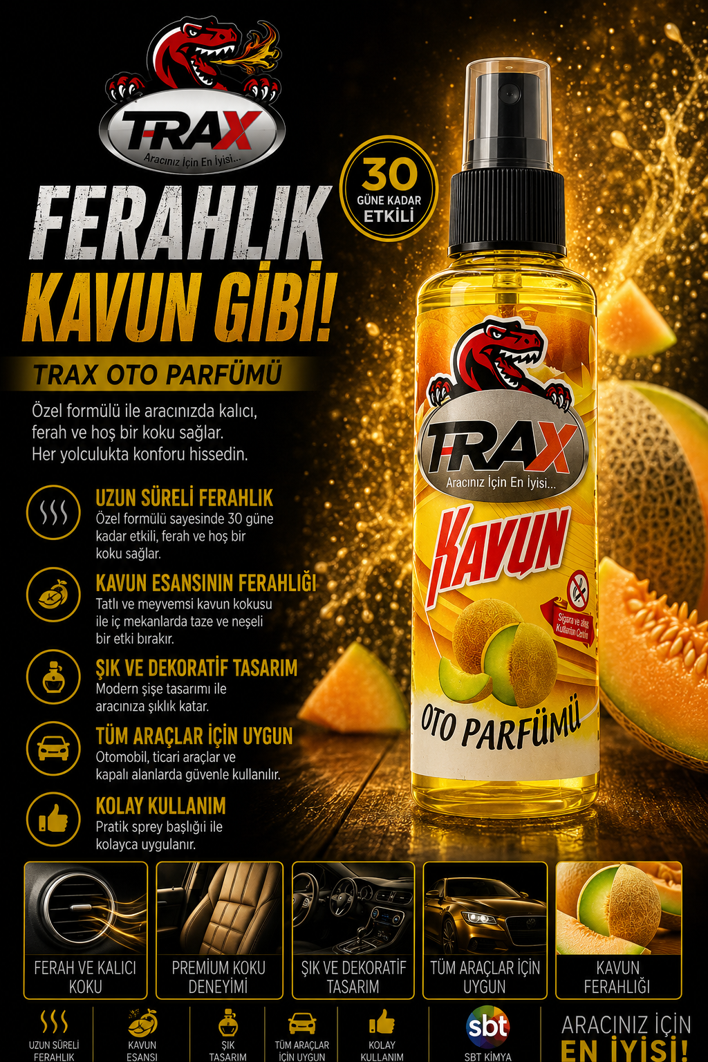 T-RaX Sprey Oto Koku 170ML - Kavun